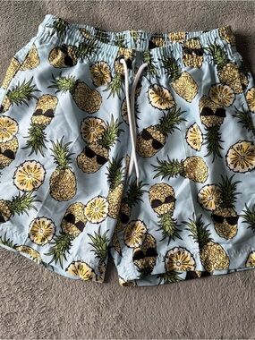 surf style Light Blue Pineapple Print Men’s Swim Trunks